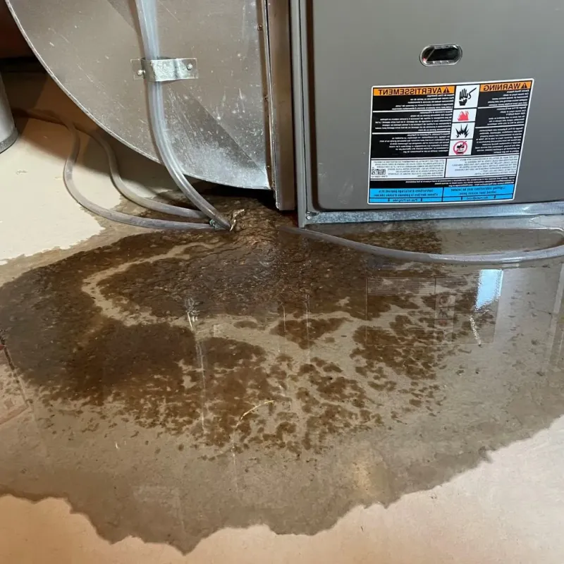 Pipe Burst and Leak Restoration in Pomeroy, WA