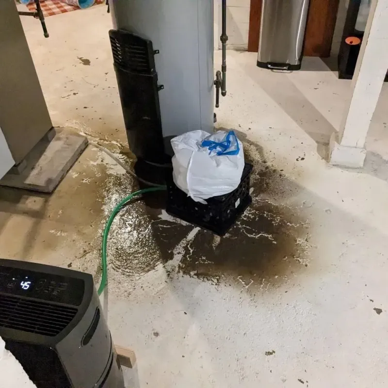 Sewage Backup Cleanup Service in Pomeroy, WA